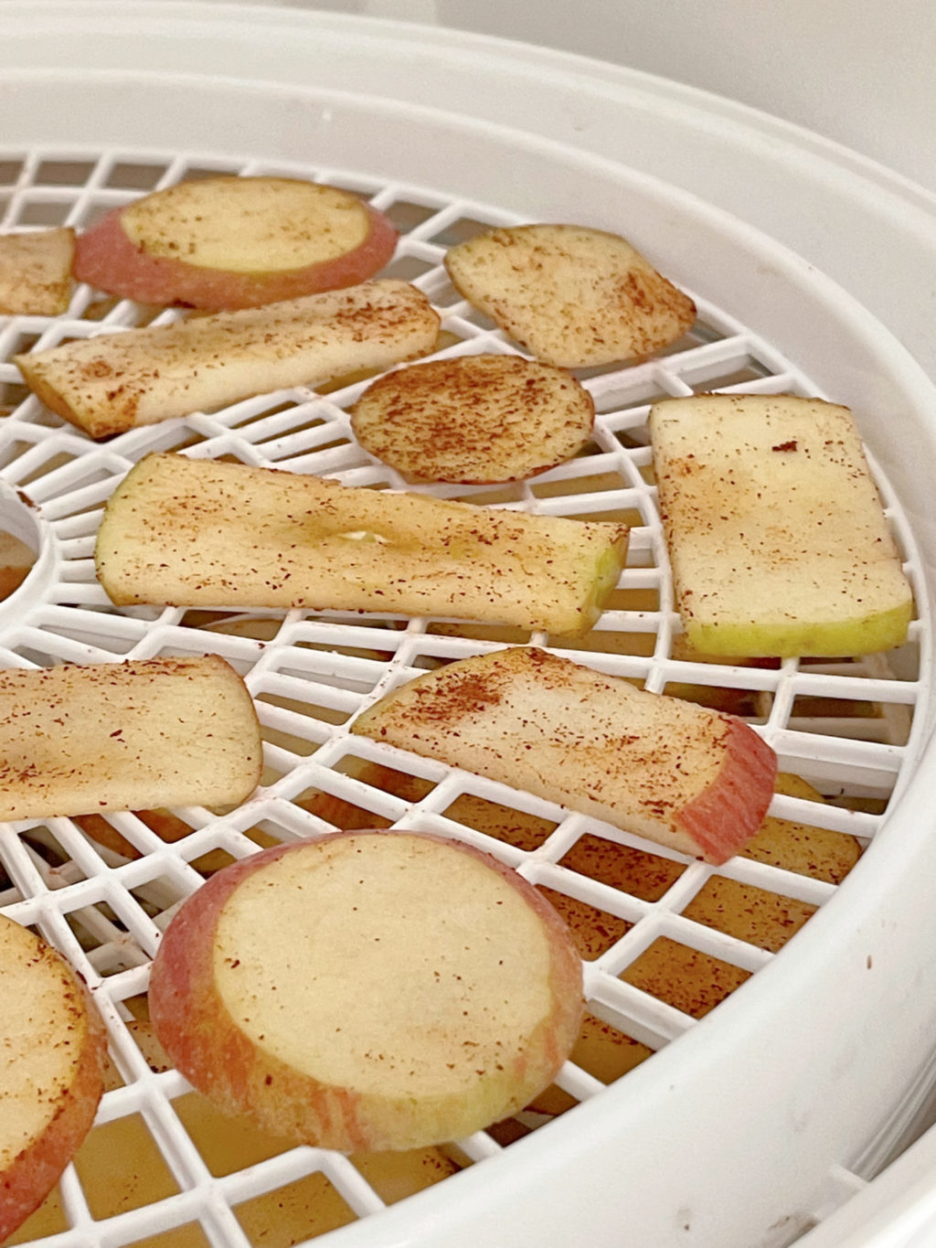 Apple slices with cinnamon on top in a dehydrator tray.