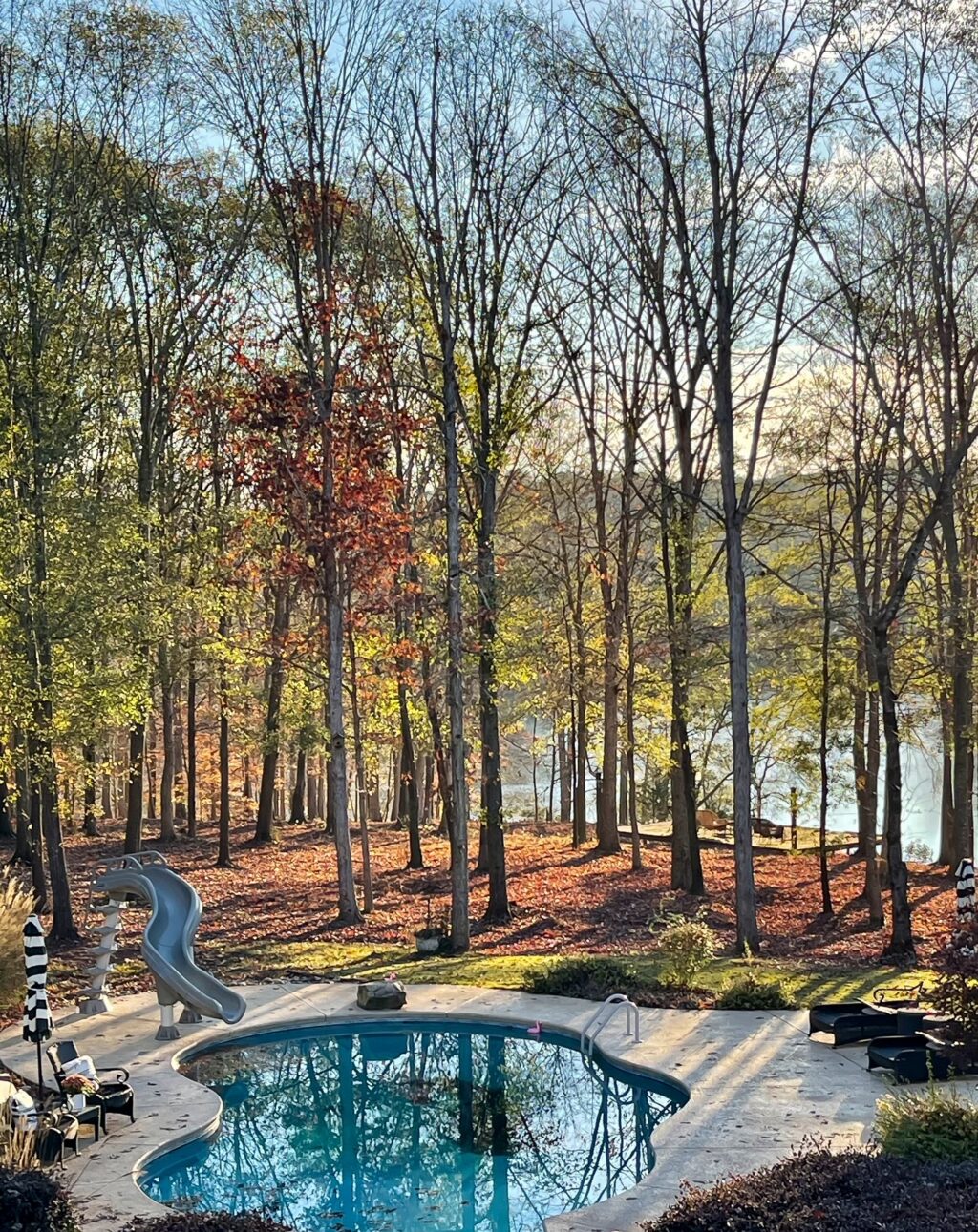 backyard pool with surrounded by trees