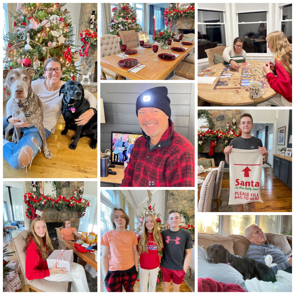 Holiday collage of family and pets.