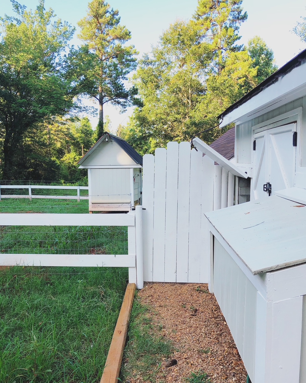 weekend hangout update includes the chicken coop