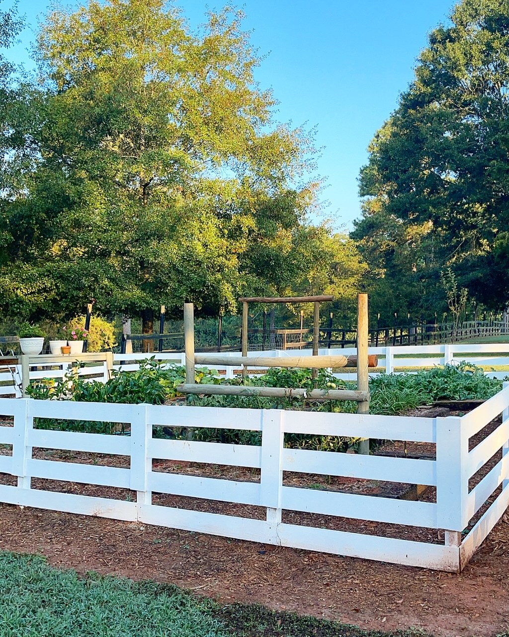 garden view with white fence