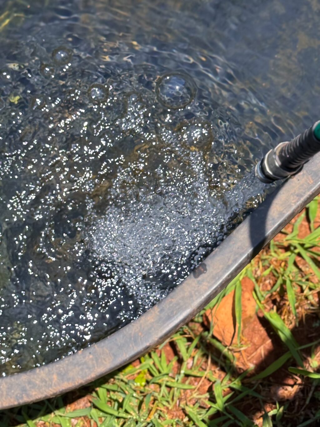 a hose filling a black water bucket 