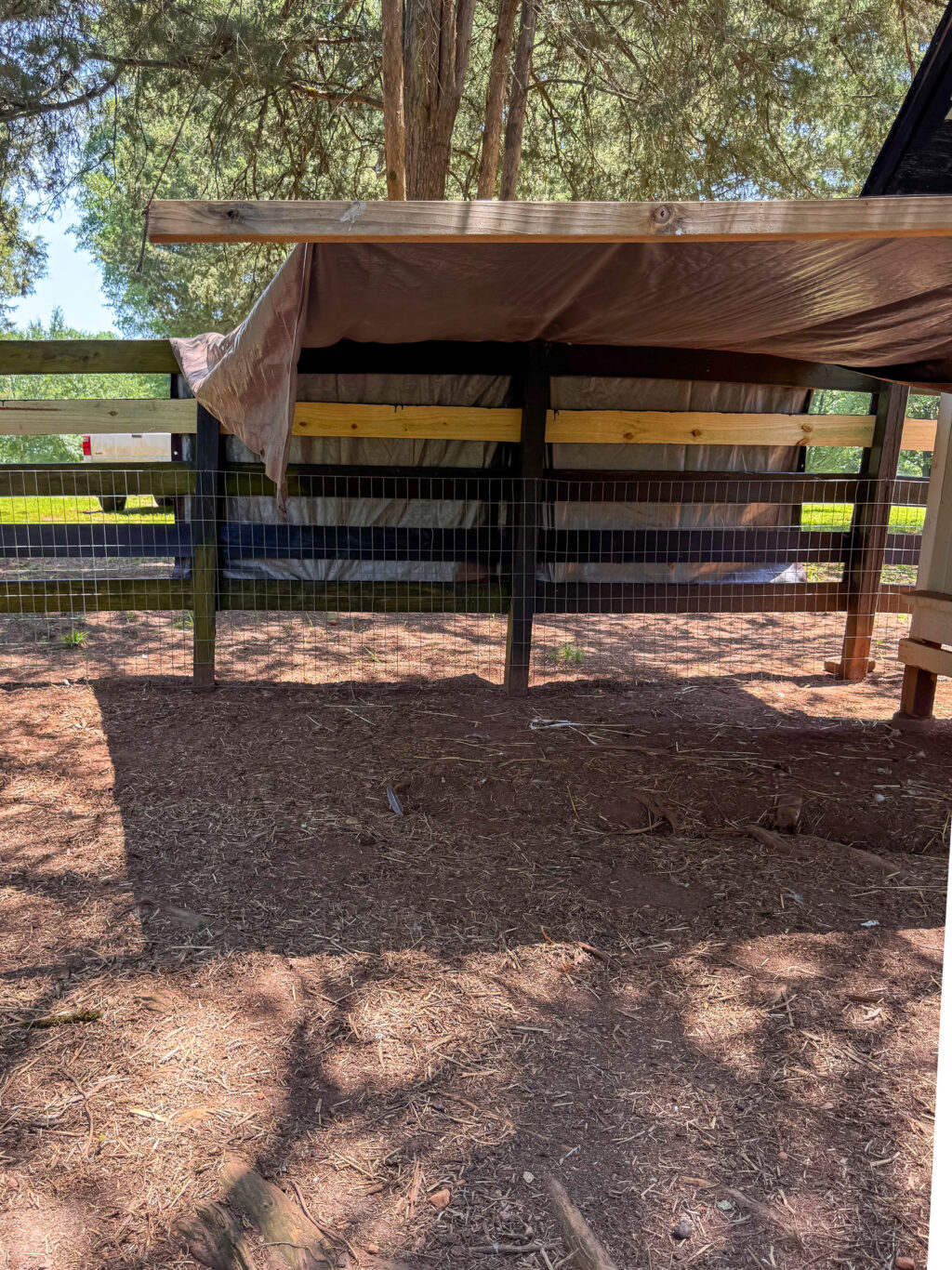 temporary shade solution using a tarp