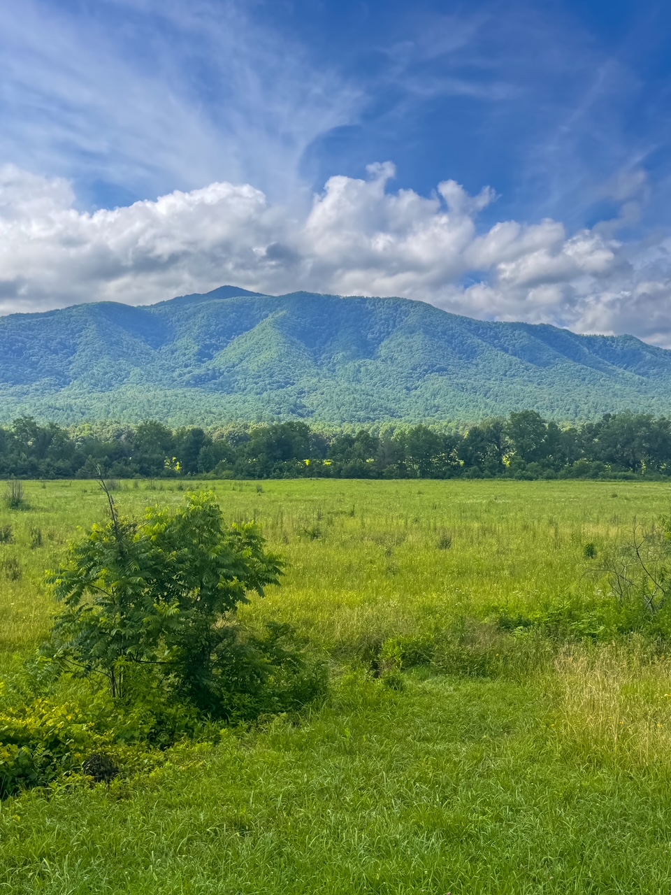 visiting Cades Cove