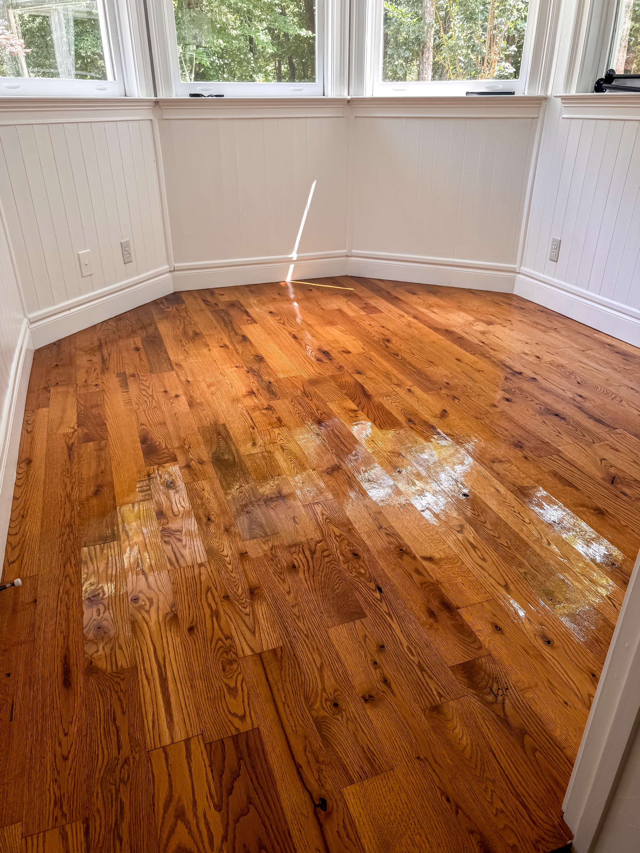 just applied Rejuvenate floor restorer on hardwood floors in workout space