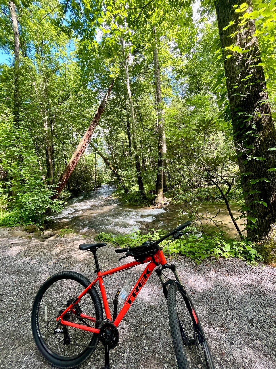things to do in Cades Cove