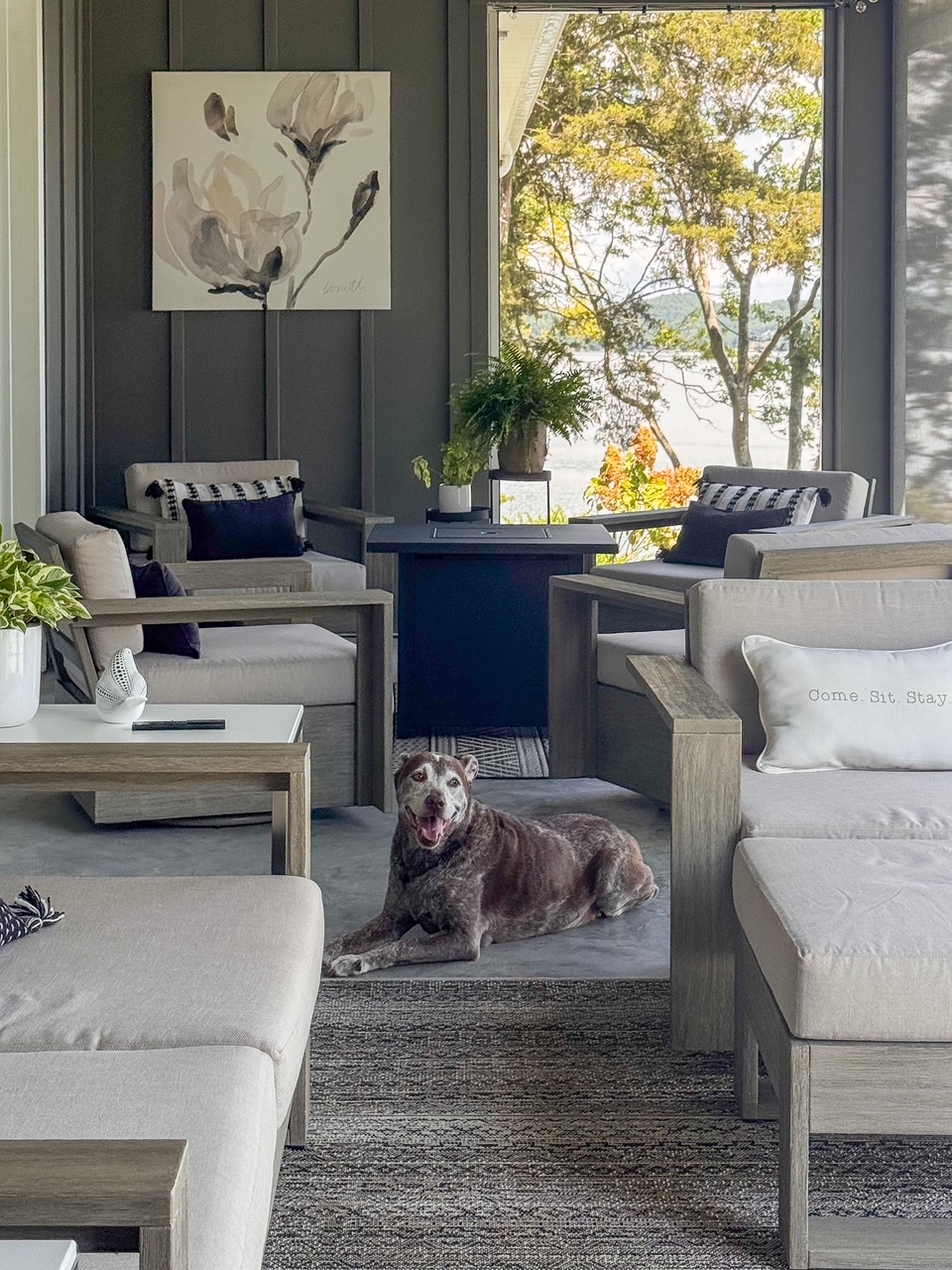 conversation area with dog 