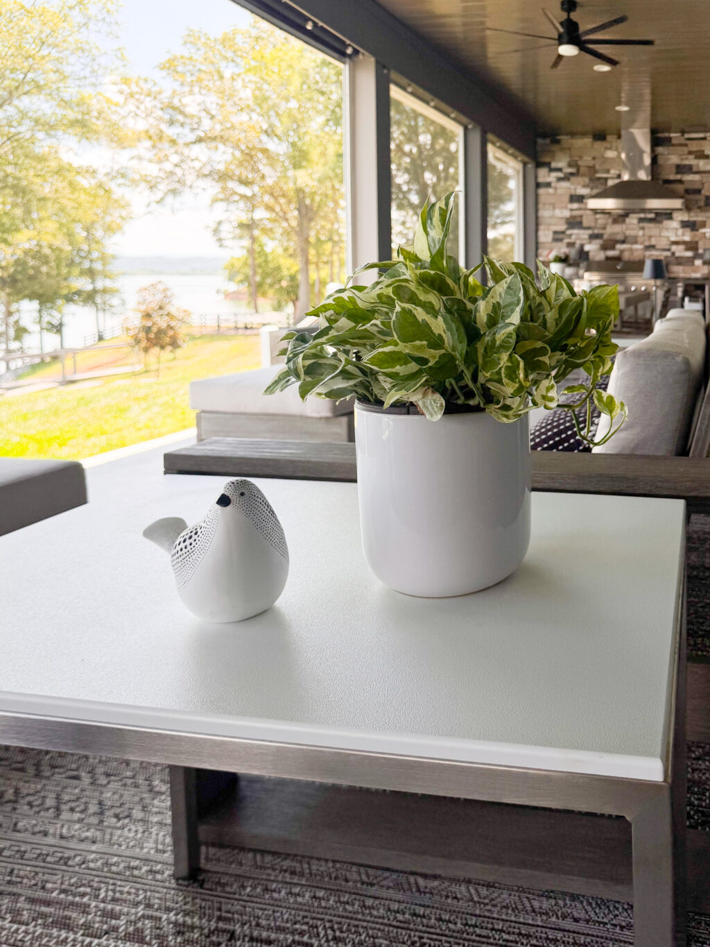 plant and bird on white table