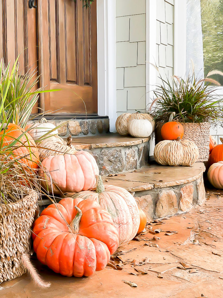various pumpkins on front step at Duke Manor Farm