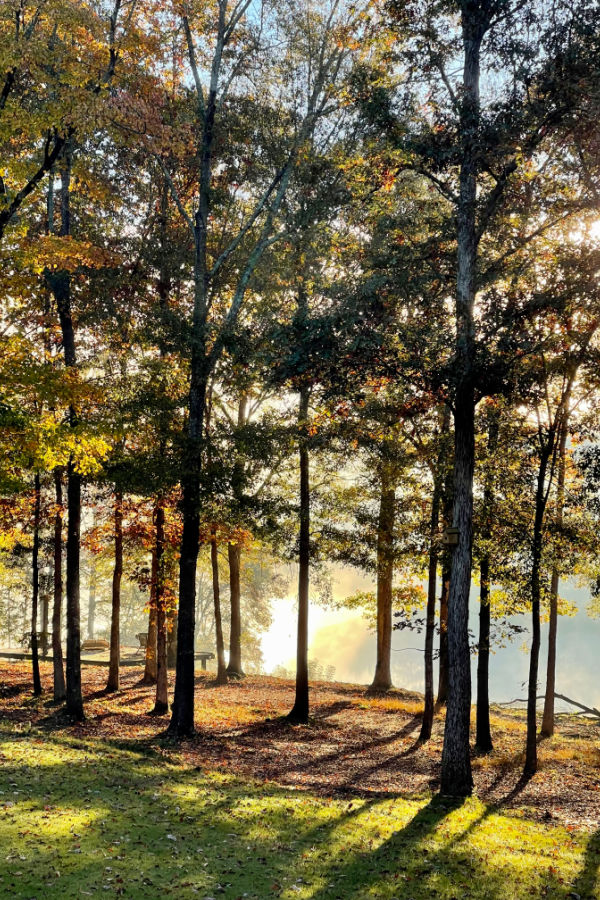 sunrise on duke manor farm property