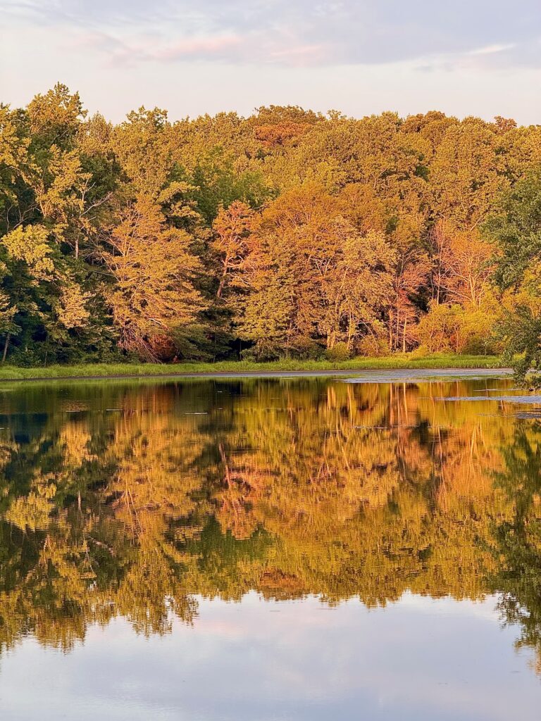 Fall color in Georgia: Best Places to see it