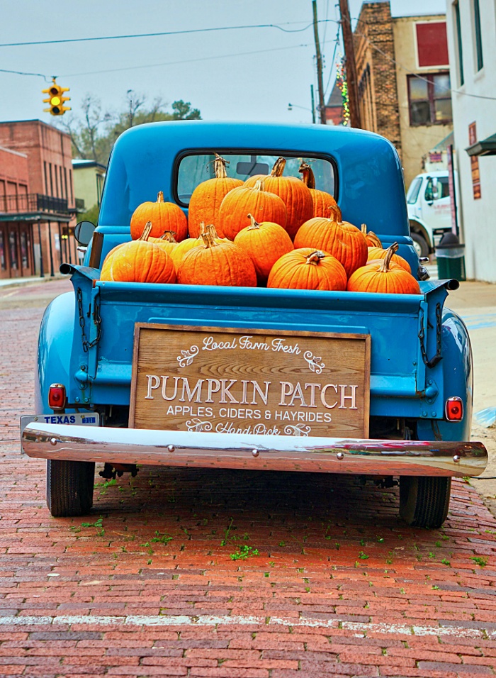 Style Showcase: Fall home décor inspiration and DIY ideas