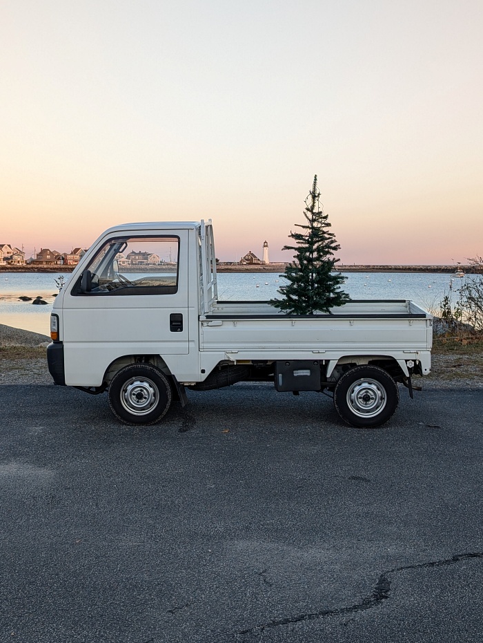 Holiday home décor ideas and Christmas tree inspiration