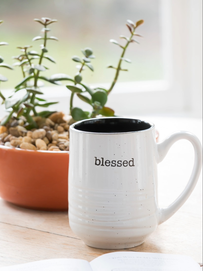 low maintenance houseplants indoor