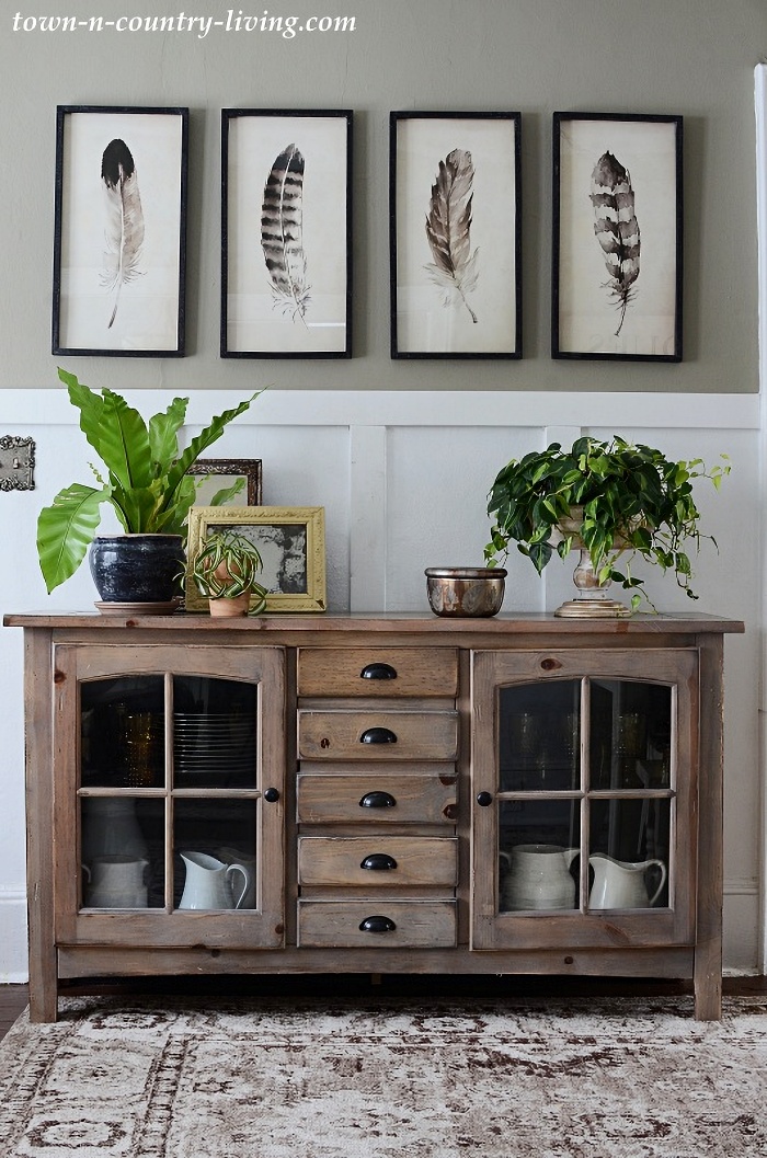 indoor plants that bring calm to winter spaces