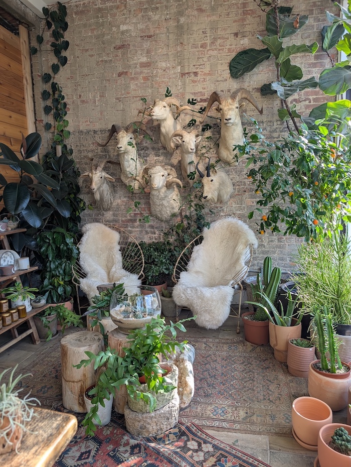 vintage decor inspiration from thrifted finds