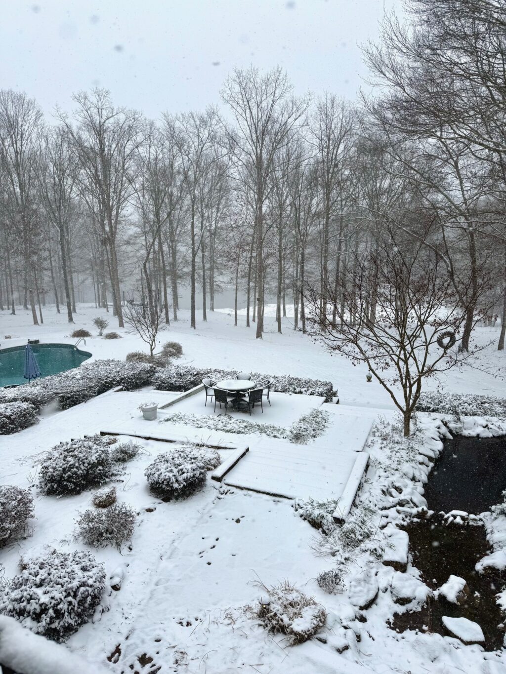 snow in Georgia backyard winter scene