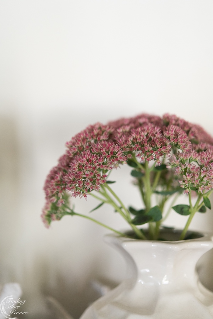 paint colors for dark wood trim inspiration