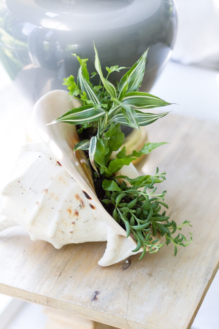 Easy summer DIY crafts for home and garden