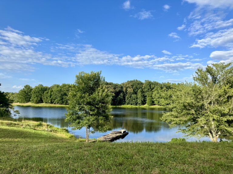 Summer at Duke Manor Farm