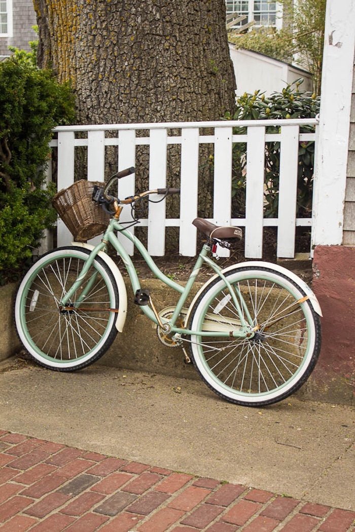 Scenic summer stroll through Martha's Vineyard with charming coastal homes