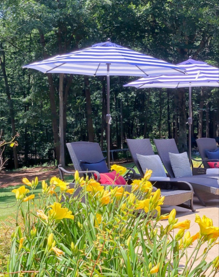 Budget-friendly outdoor shade ideas for summer