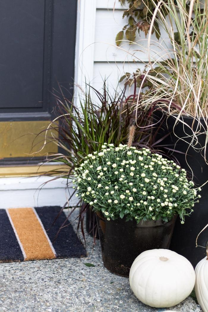 Simple black and white fall porch from Zevy Joy