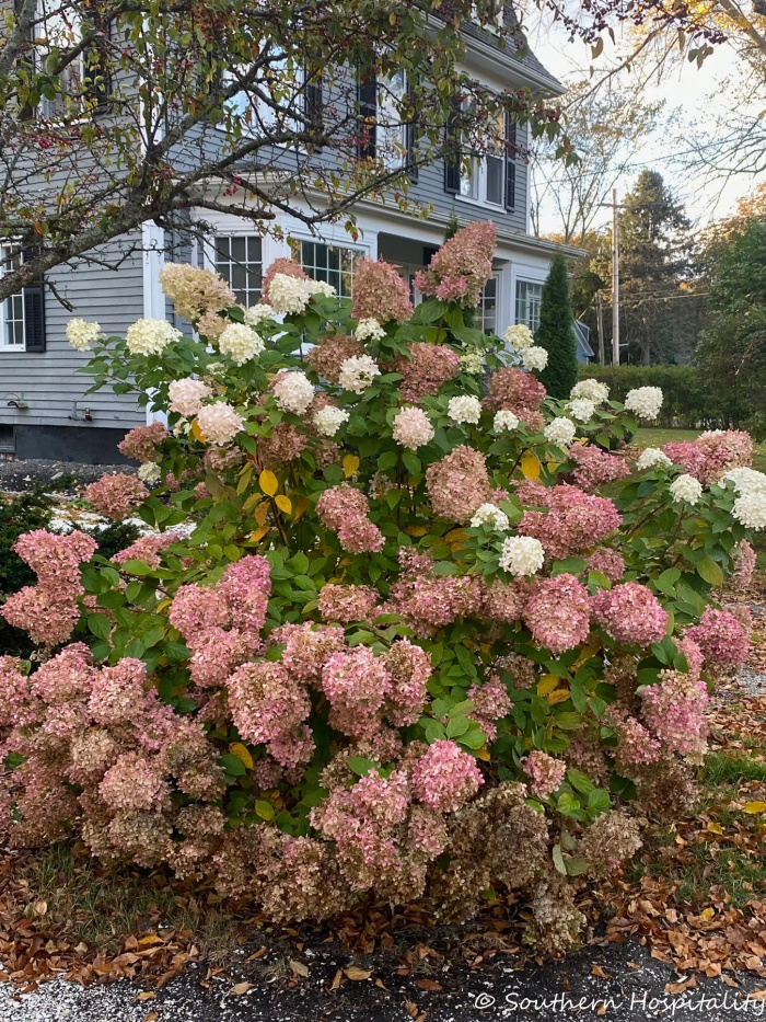 Coastal homes and scenery in Kennebunkport, Maine
